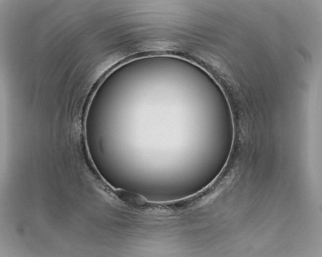 X0000110931073200906181424