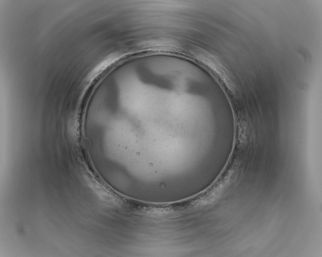X0000110931074200906181424