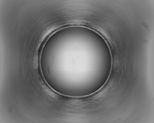 X0000110931075200906181424