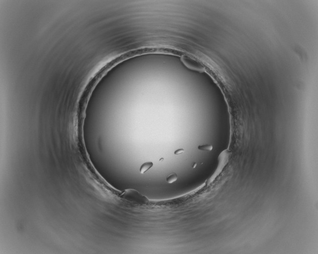 X0000110931076200906181424