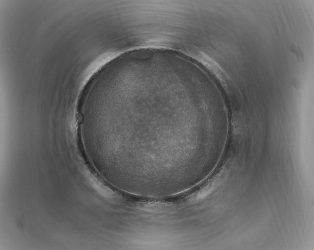 X0000110931077200906181424