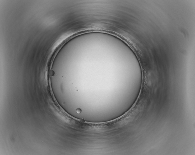 X0000110931078200906181424