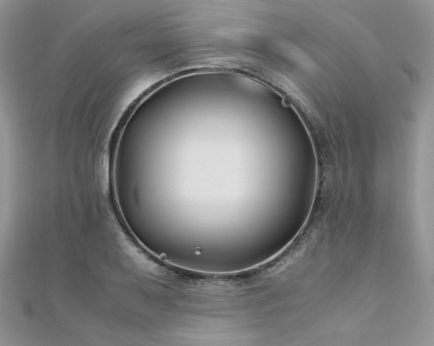 X0000110931079200906181424