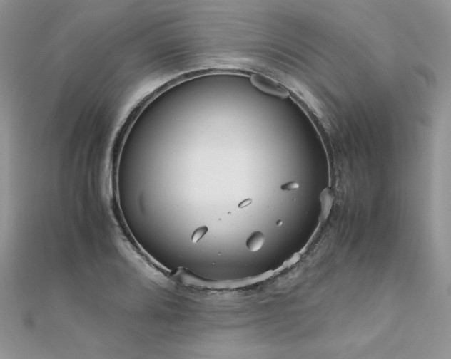 X0000110931080200906181424