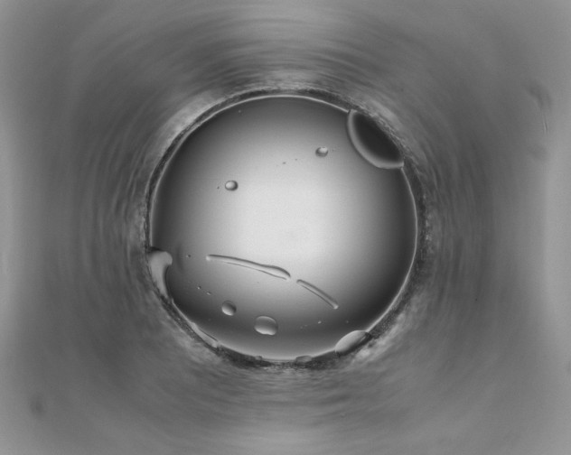 X0000110931081200906181424