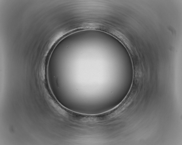 X0000110931083200906181424