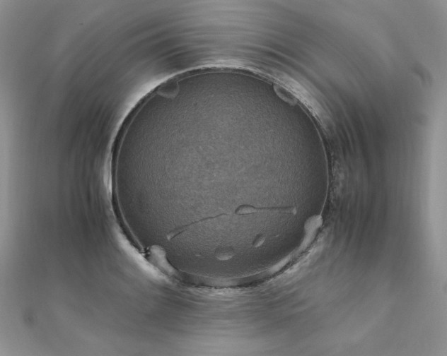 X0000110931084200906181424