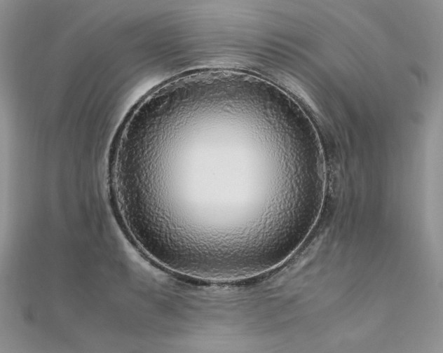 X0000110931087200906181424
