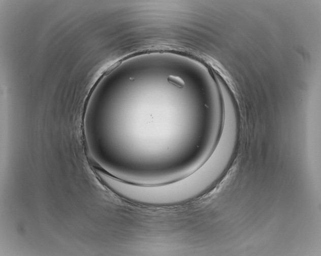 X0000110931089200906181424