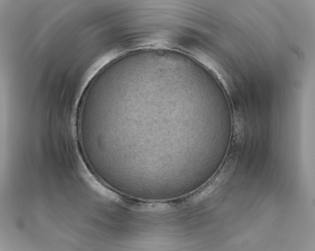 X0000110931090200906181424