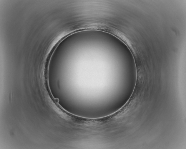 X0000110931091200906181424