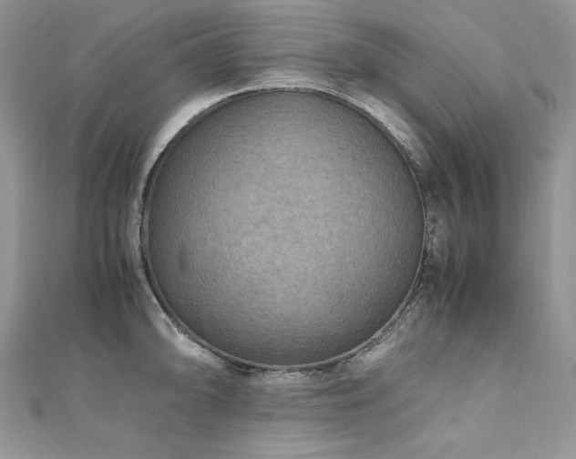 X0000110931094200906181424