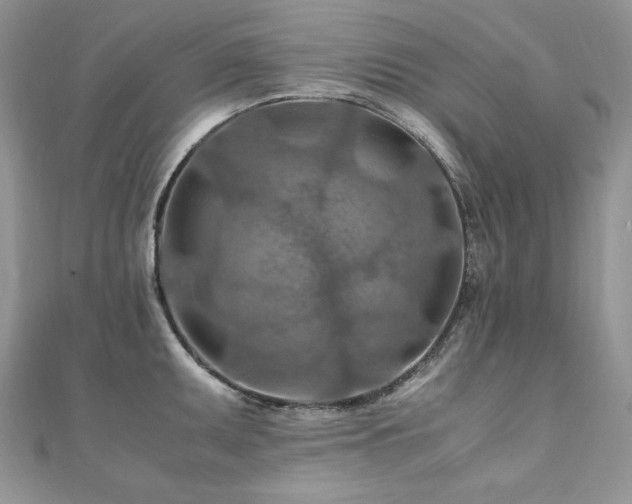 X0000110931095200906181424