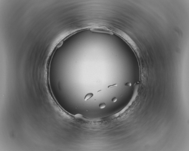 X0000110931096200906181424
