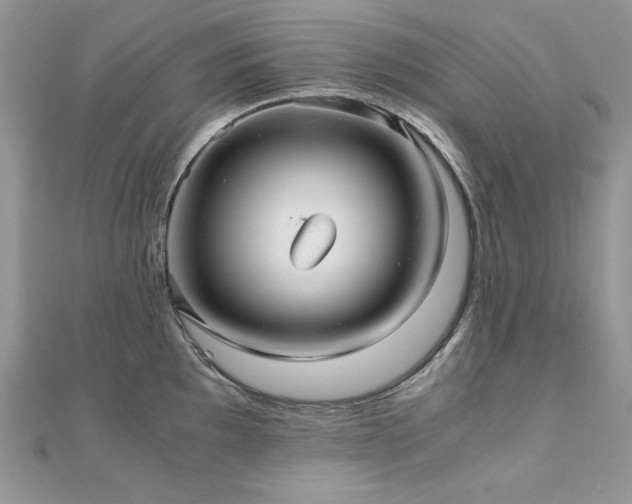 X0000110931097200906181424