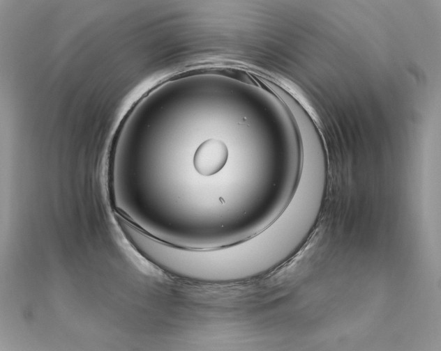 X0000110931098200906181424