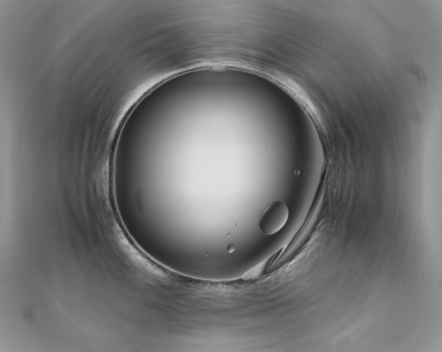 X0000110931100200906181424