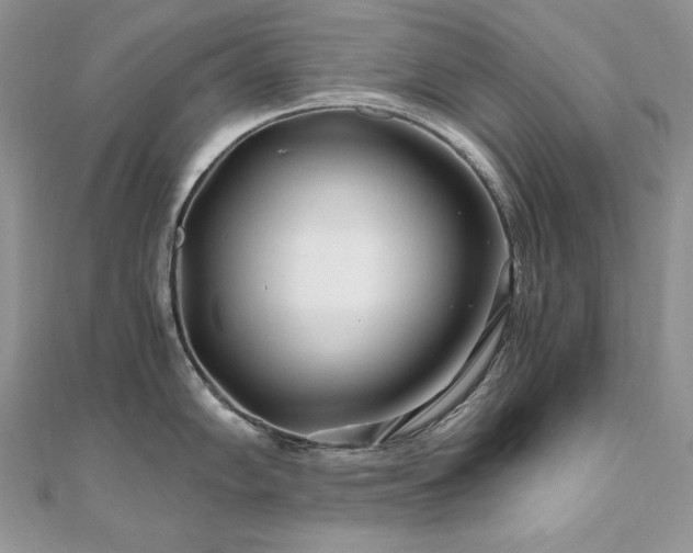 X0000110931102200906181424