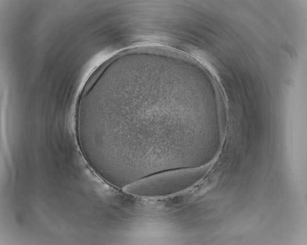 X0000110931104200906181424