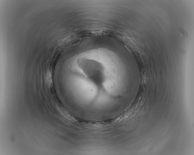 X0000110931106200906181423