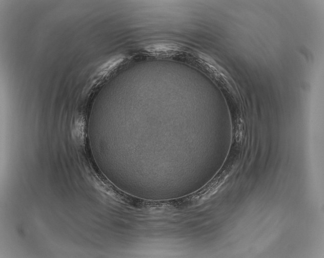 X0000110931108200906181423