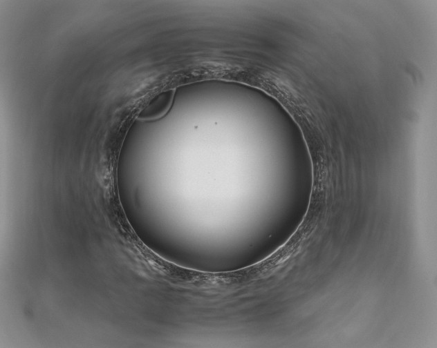 X0000110931109200906181423