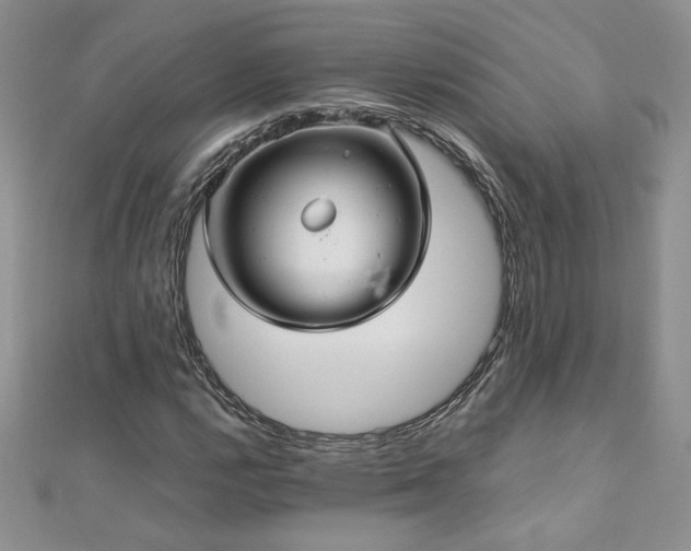 X0000110931112200906181423