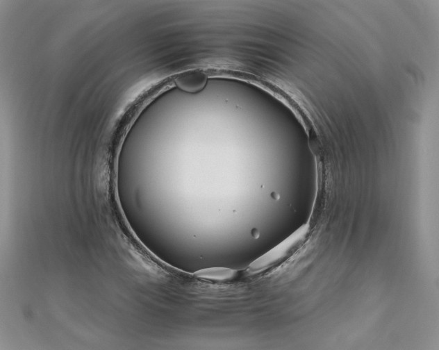 X0000110931115200906181423