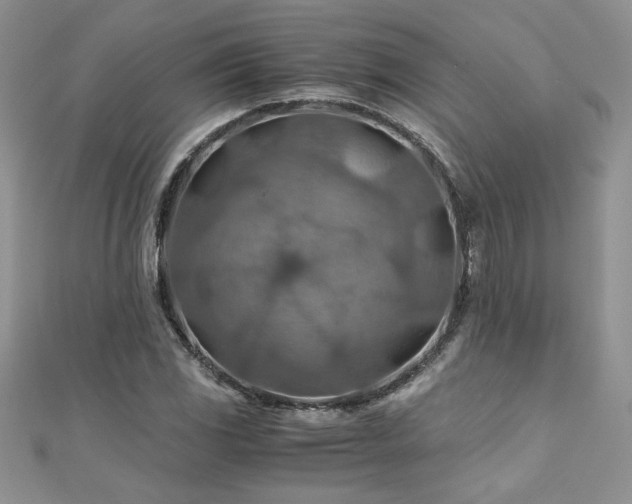 X0000110931117200906181423