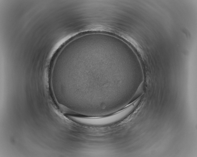 X0000110931120200906181423