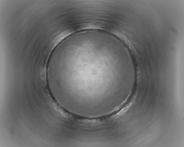 X0000110931121200906181423