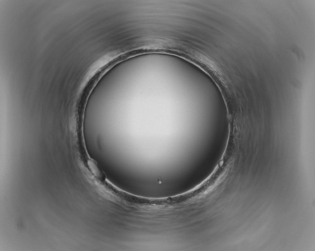 X0000110931122200906181423
