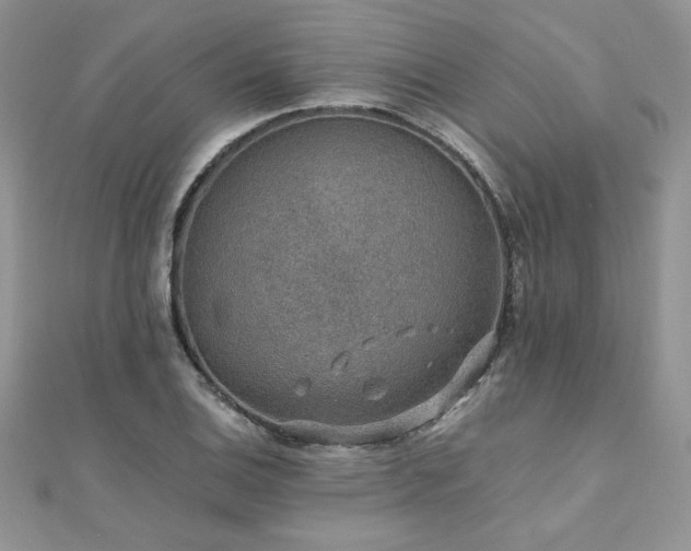 X0000110931124200906181423