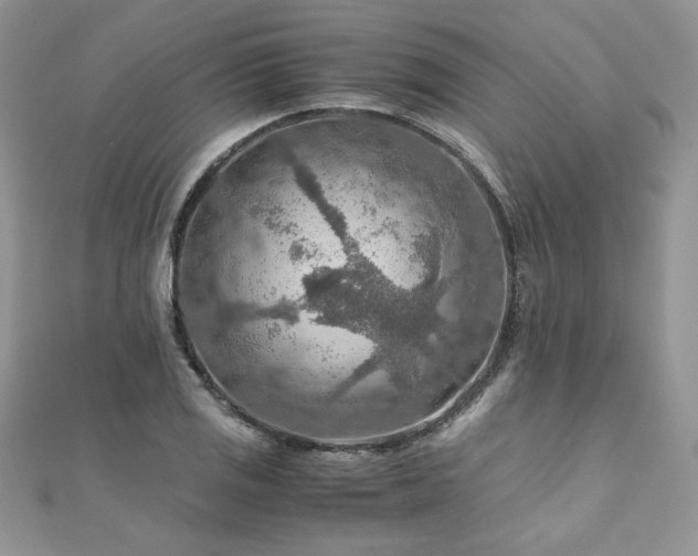 X0000110931125200906181423