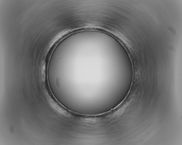 X0000110931126200906181423