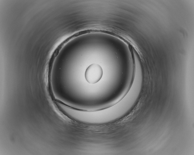 X0000110931128200906181423