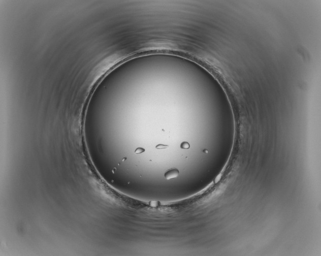 X0000110931129200906181423