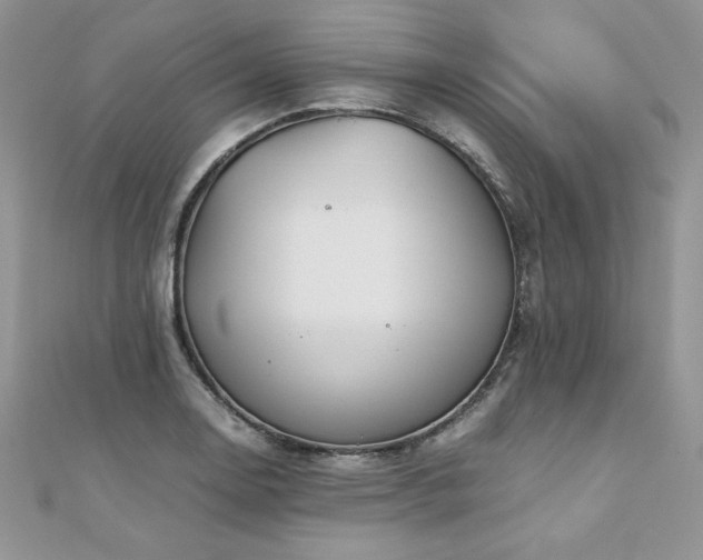 X0000110931130200906181423
