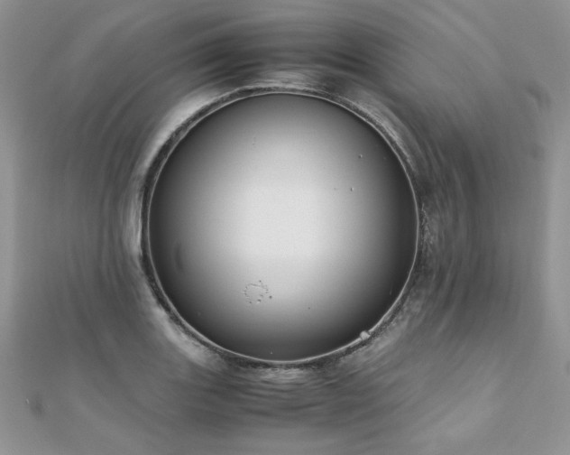X0000110931131200906181423