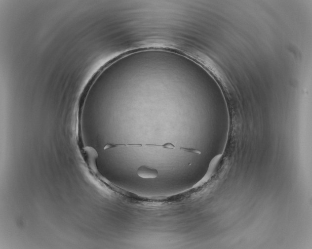 X0000110931132200906181423