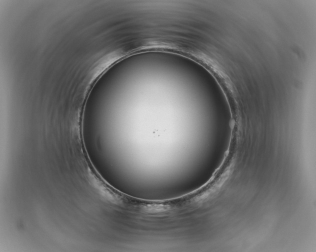 X0000110931137200906181424