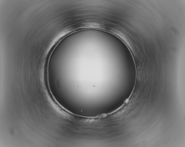 X0000110931139200906181424