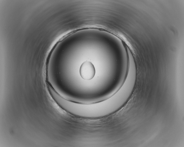 X0000110931140200906181424