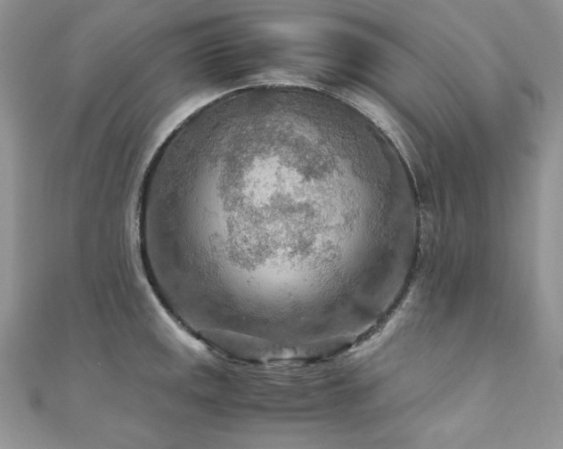 X0000110931141200906181424