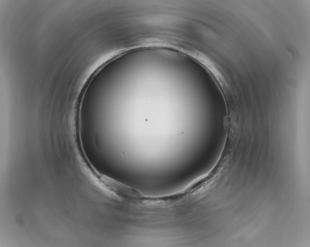 X0000110931142200906181424