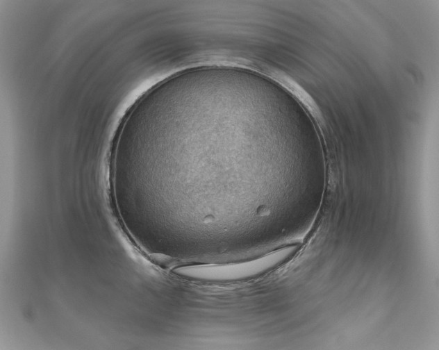 X0000110931144200906181424