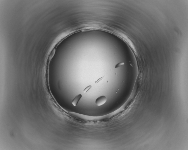 X0000110931146200906181424