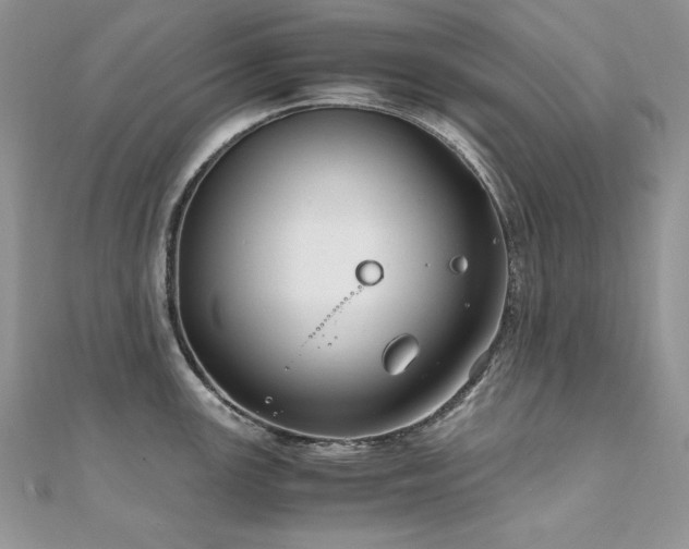 X0000110931147200906181424