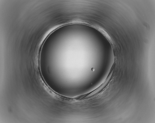X0000110931148200906181424