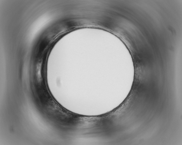 X0000110931150200906181424